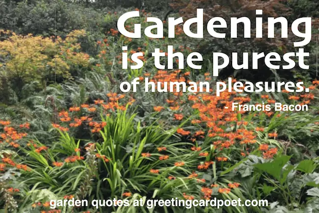 garden quotes and sayings.
