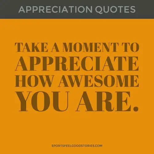Appreciate your awesomeness quote.