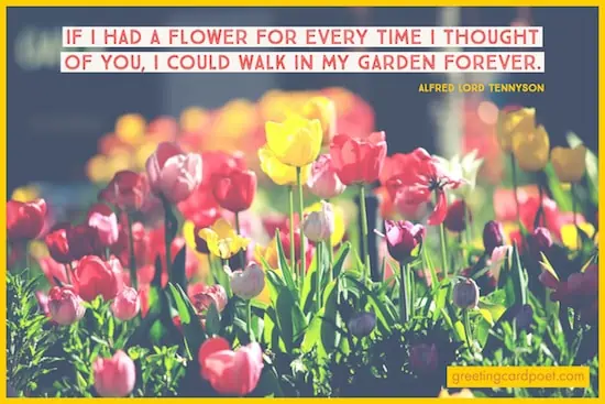 walk in my garden forever image
