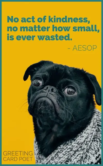 Aesop on Kindness.