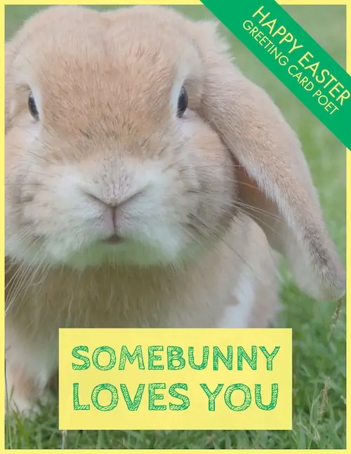 Somebunny Loves You.