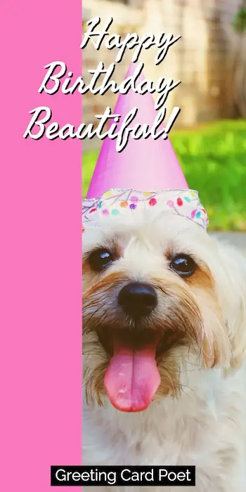 Happy Birthday Beautiful dog image.