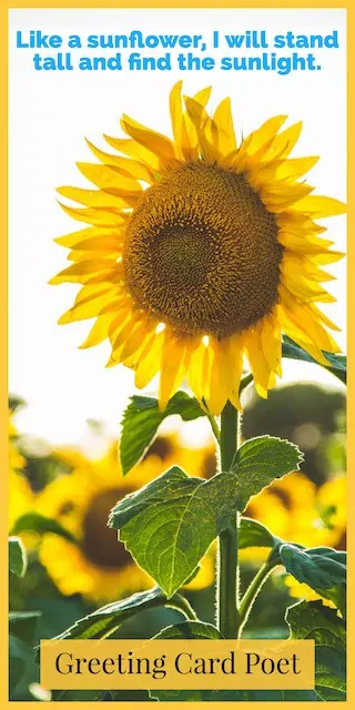 Sunflower saying image
