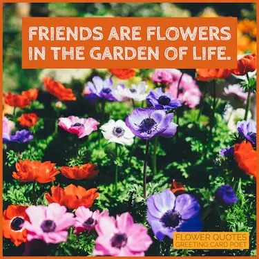 friends are flowers image