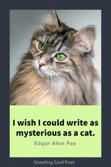 Cat Quotation by Poe image