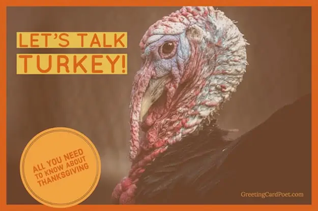 Happy Thanksgiving - let's talk turkey.