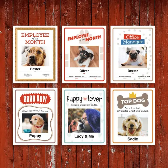 6 Dog certificates designs image