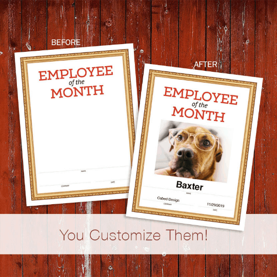 dog employee of the month image
