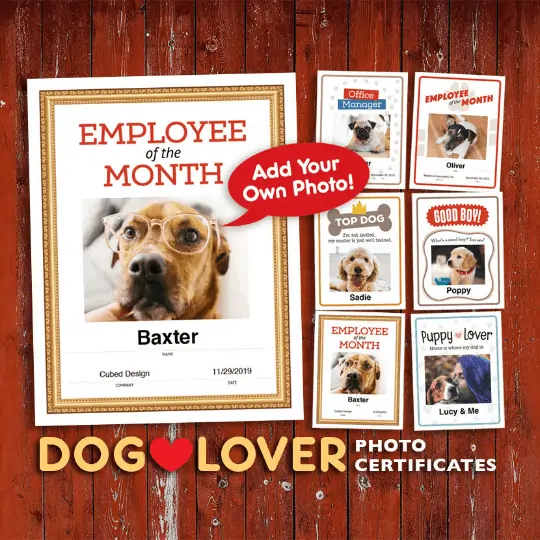 dog lover photo certificates image
