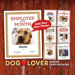 editable dog lover certificates image