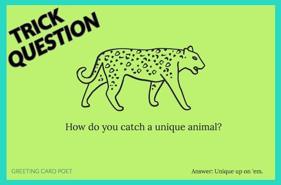 How do you catch a unique animal image