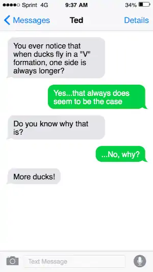 Duck joke text image
