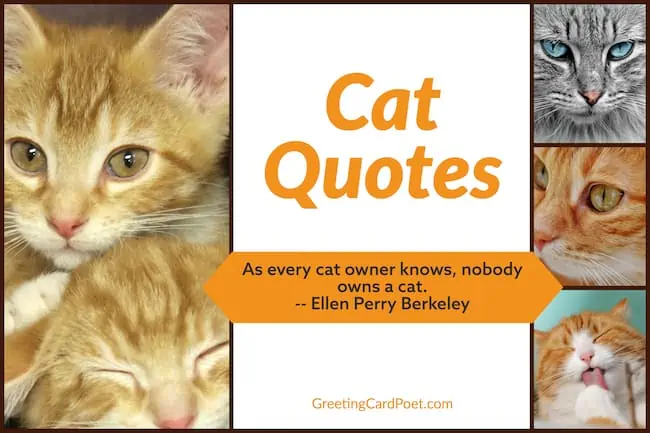 Cat Quotes.