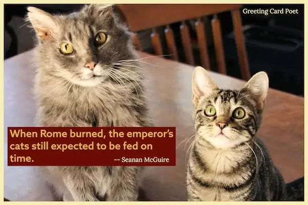 famous cat quote on expecting to be fed.
