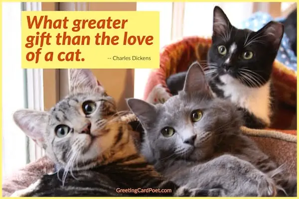 what greater gift than the love of a cat.