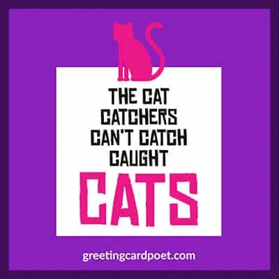 The cat catchers can't catch.