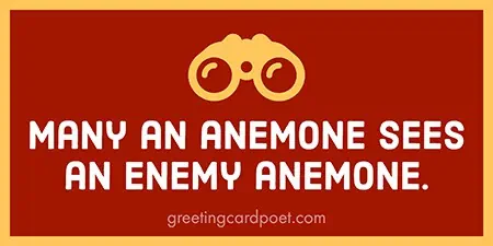 Many an anemone phrase.