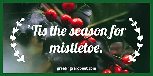 It is the season for mistletoe meme
