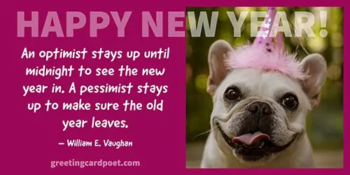 fun New Year's quotes image