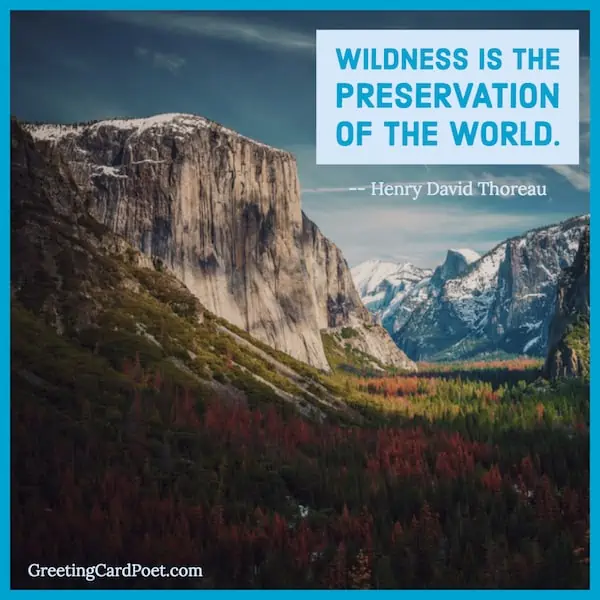 Henry David Thoreau quotes image