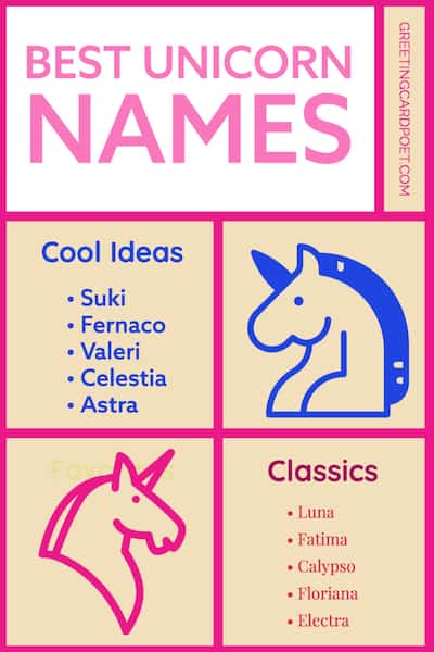 fun unicorn names meme