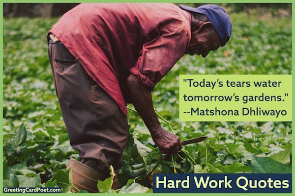Hard work quotes image