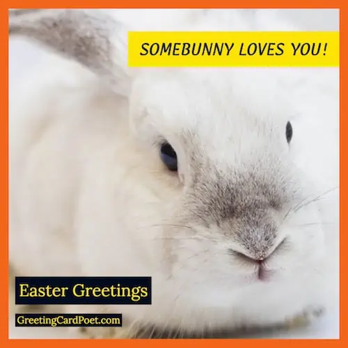 Some bunny loves you wish image