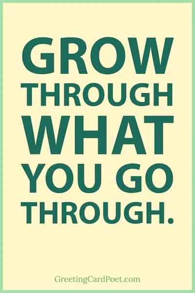 grow through what you go through quote.