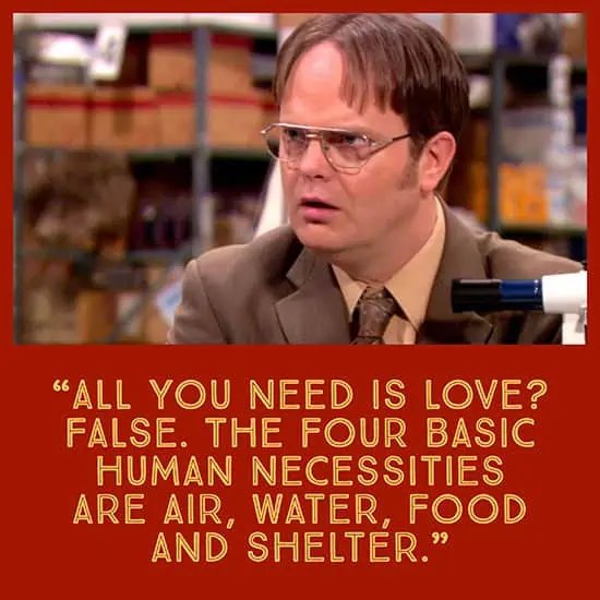 Best Dwight Schrute Quotes - all you need is love
