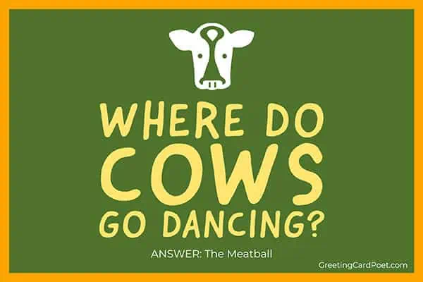 Where do cows go dancing - funny riddles