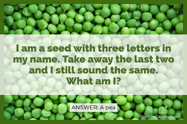 Peas - good riddles and jokes