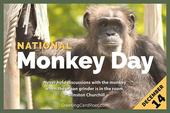 National Monkey Day December 14.