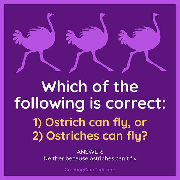 Ostriches - tricky riddles.