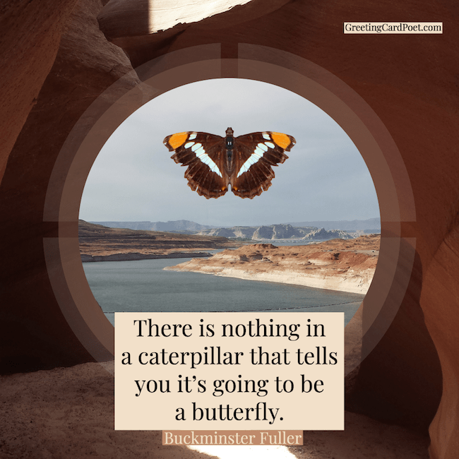 Buckminster Fuller - butterfly quotes.