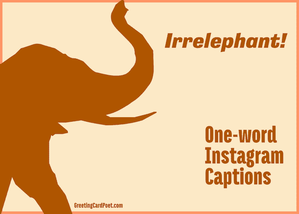 Elephant - One-word captions.
