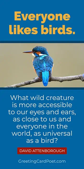 David Attenborough quote on birds