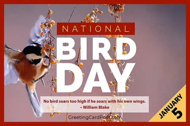 National Bird Day - January 5.