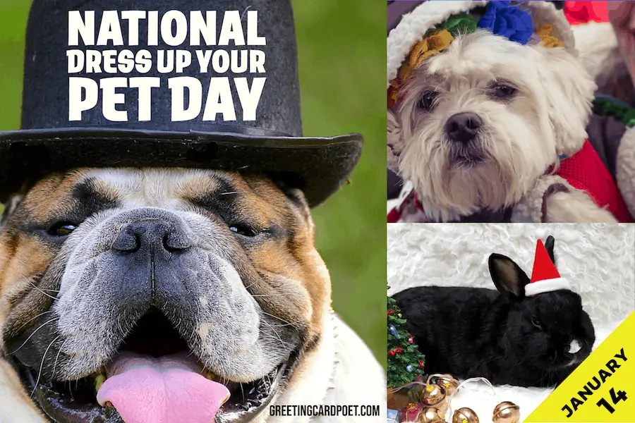 National Dress Up Your Pet Day.