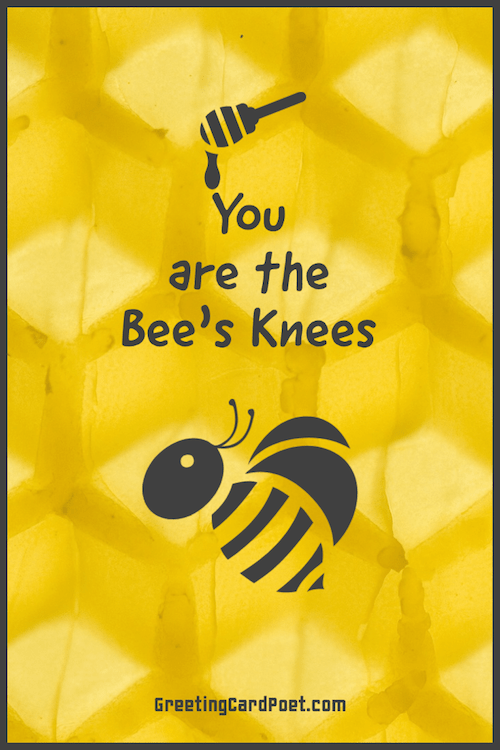 You are the bee's knees