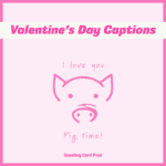 I love you pig time - Valentine's Day Captions