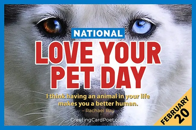 National Love Your Pet Day.