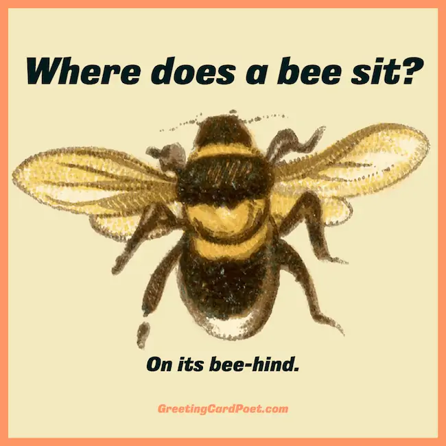 Where does a bee sit joke