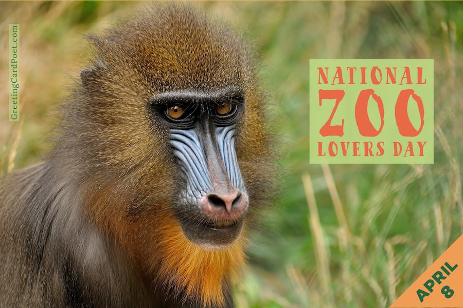 National Zoo Lovers Day.