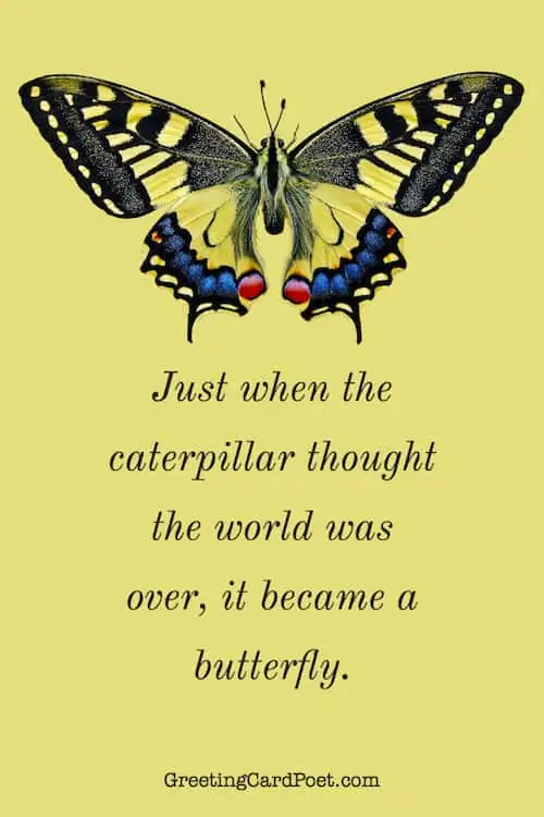 It became a butterfly quotations