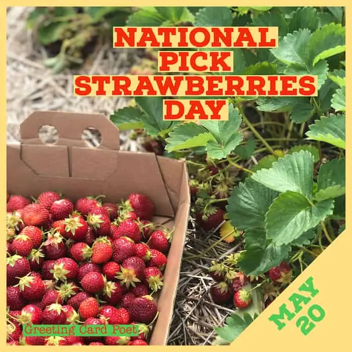 National Pick Strawberries Day.