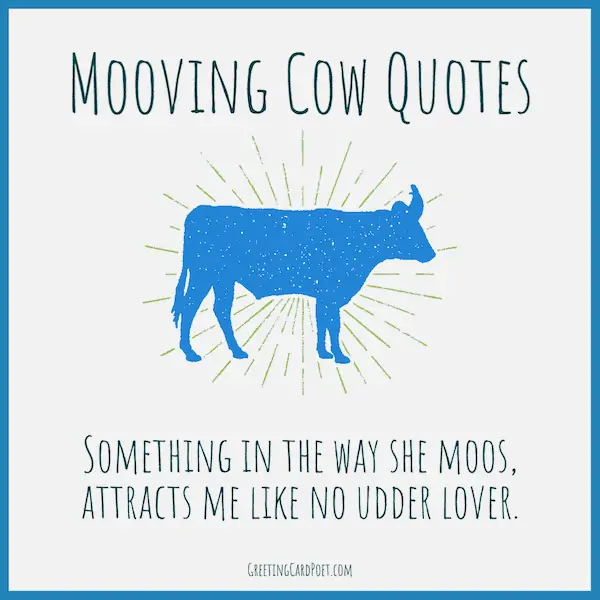 Cute cow quotes