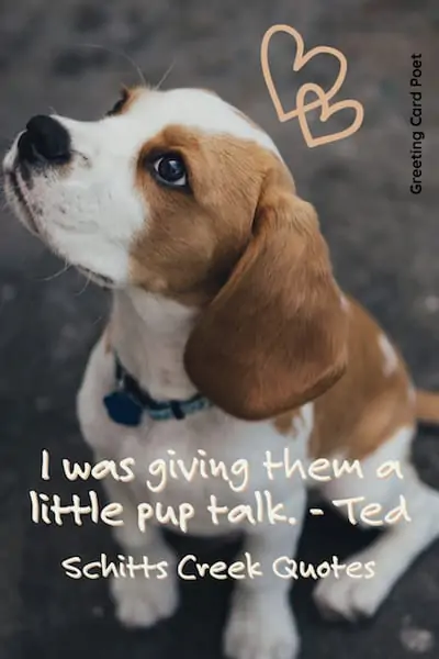 Pup Talk Quote.