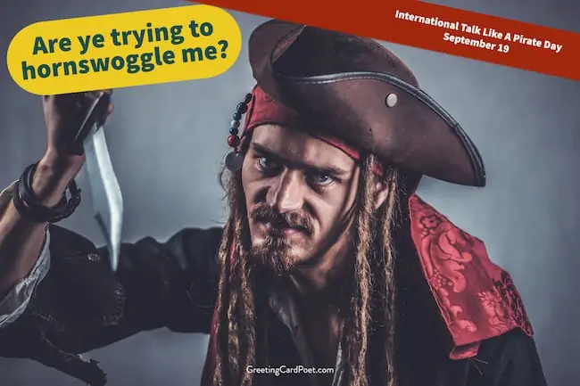 Pirate lingo and expressions
