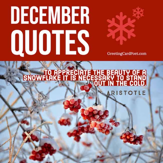 December Quotes.