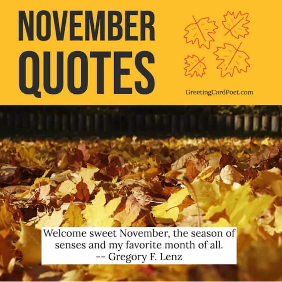 November Quotes, Captions, and Sayings